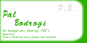 pal bodrogi business card